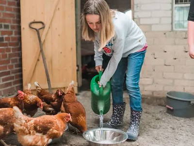 Bild 21 aus  Ferienhof Groth/ Hof Herzleuchten