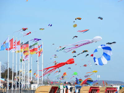 Bild 45 aus  Bauernhof Krebs