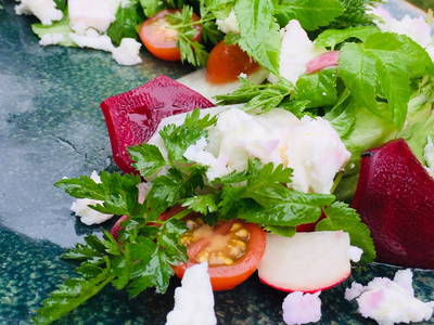 Bild 17 aus  Gut Boltenhof