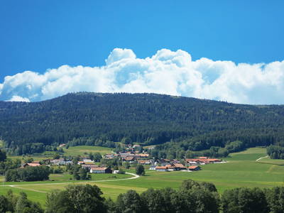 Bild 48 aus  Paulas Bauernhof im Bayerischen Wald