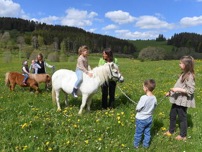 Bild 2 aus  Kernenhof