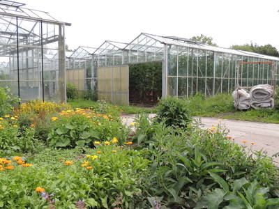 Bild 5 aus  Schümannhof