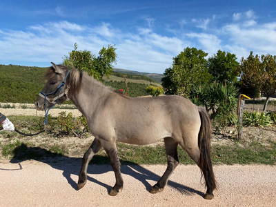 Bild 22 aus  Colle del Lupo