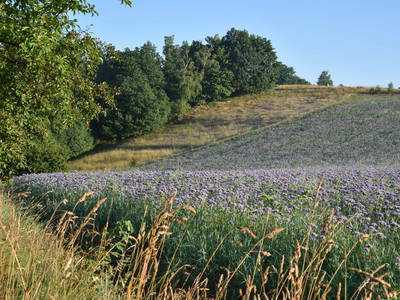 Bild 15 aus  Blogstube in Hinterhermsdorf