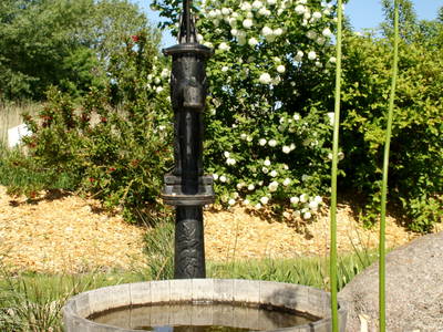 Bild 13 aus  Ferien- und Bauernhof Weiland