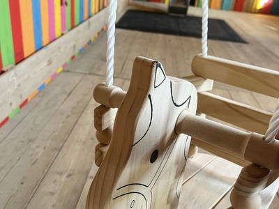 Bild 36 aus  Ponyferienhof