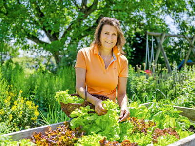 Bild 33 aus  Köllhof