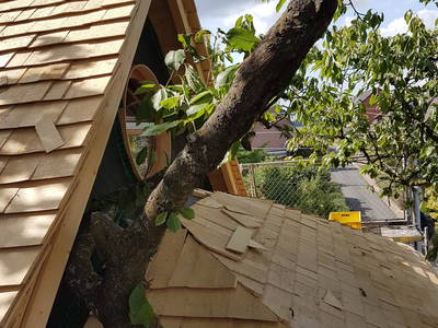 Zedernholzdach-im Bau-Ferienhaus-Baumhaus-Wesertal-Weserbergland