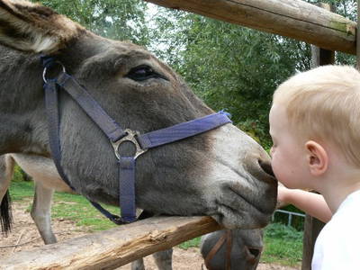 Bild 10 aus  Hof Gerina