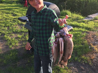 Bild 32 aus  Gut Friederikenhof