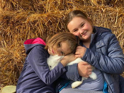 Bild 17 aus  Biohof Pürten