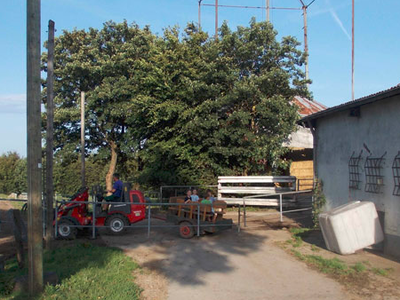 Bild 3 aus  Hof Berensheck