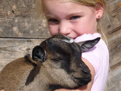 unsere Ziegenkitzlein