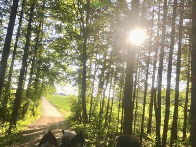 Bild 51 aus  Reiherhof