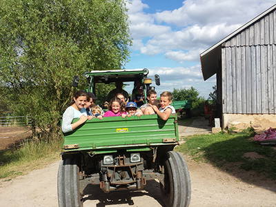 Bild 12 aus  Ferienhof Neudeck