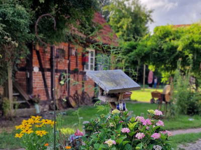 Bild 34 aus  Urlaub unterm Reet