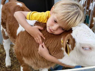 Bild 24 aus  Ferienbauernhof Storchenhäusle