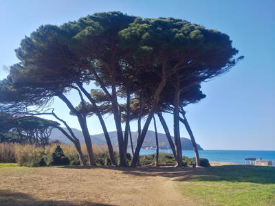 Baratti