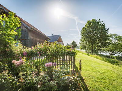 Foto von Oberpfälzer Wald