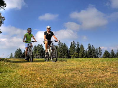 Bild 45 aus  Unterhöfenhof im malerischen Jostal am Titisee im Schwarzwald