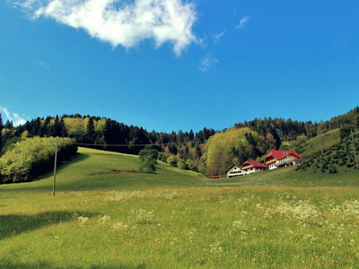 Bild 2 aus  Stinneshof