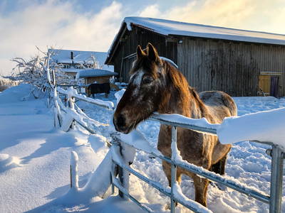 Bild 25 aus  Kebachhof