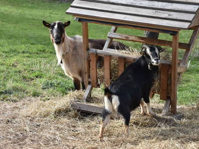 Bild 15 aus  Weberhof