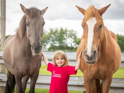 Bild 50 aus  LINDENHOF- BAUERNHOFURLAUB / OSTSEENÄHE