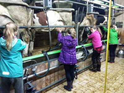 Bild 21 aus  Steinäckerhof