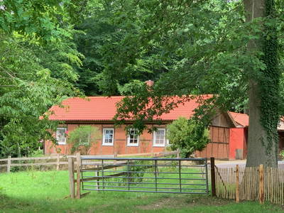 Bild 9 aus  Ferienhäuser in Waldhütten
