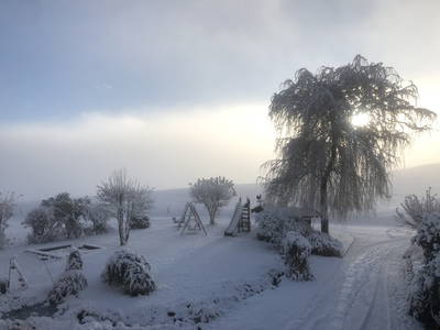 Bild 50 aus  Gmeinder's Landhaus