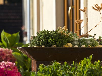 Bild 97 aus  Paulas Bauernhof im Bayerischen Wald