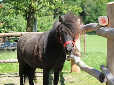 Bild 15 aus  Frankhof