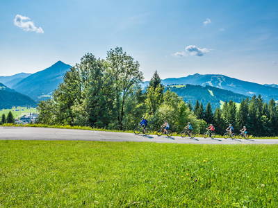 Bild 22 aus  Ferienhäuser Kuchelberg