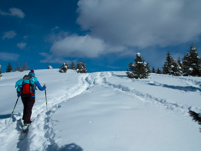 Bild 32 aus  Stoffnerhof