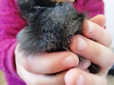 Bild 25 aus  KnallerbsenHof