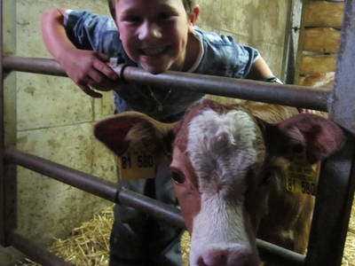 Bild 21 aus  Ferienhaus Labbronnerhof