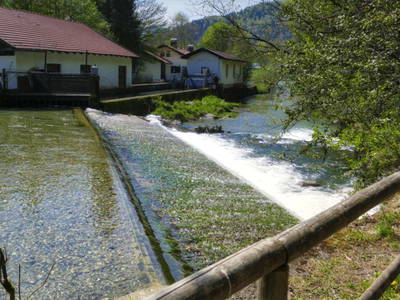 Bild 11 aus  Beim Melchern