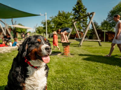 Bild 9 aus  LandSelection Grieshof