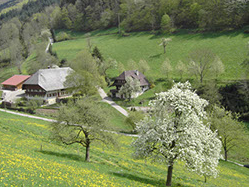 Bild 7 aus  Vorderhof