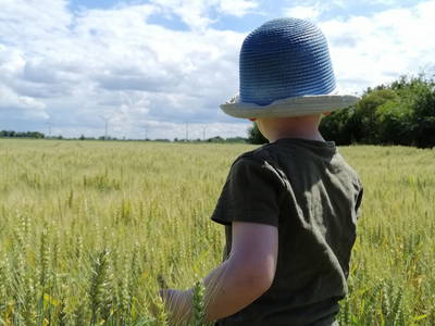 Bild 25 aus  Gut Wellingsbüttel