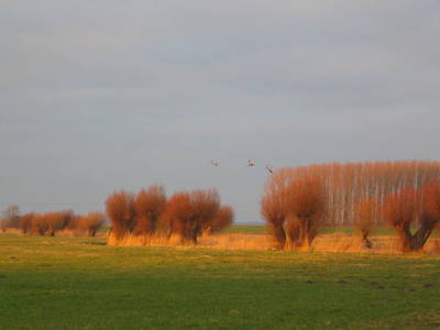 Bild 47 aus  Ferienhaus Gut Rattelvitz-INSEL RÜGEN