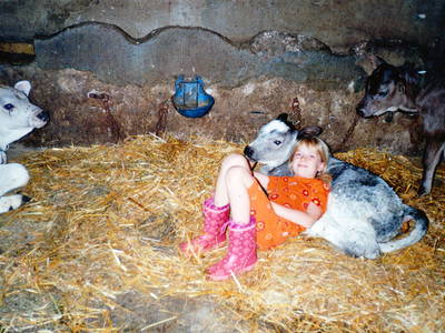 Bild 12 aus  Ferienhof Rasch