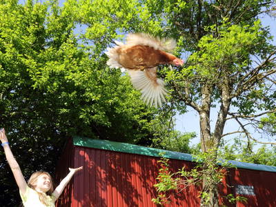 Bei uns können Sie sich Vögelfrei fühlen!