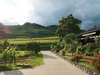 Bild 17 aus  Maienbrunnenhof