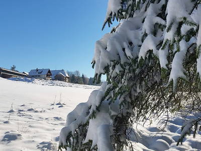 Bild 24 aus  Farnbauernhof