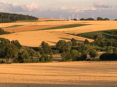 Bild 15 aus  Gutshof Wöbbel