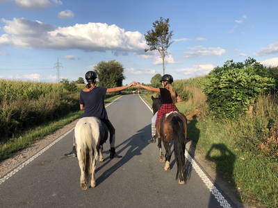 Bild 15 aus  Ferienhof Sell Bauernhofurlaub Ostsee Ponys