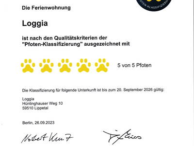 Bild 15 aus  Hof Albersmeier Urlaub am Stall