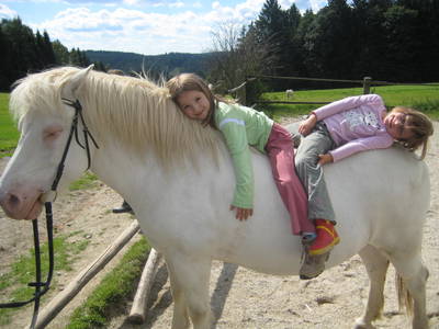 Bild 10 aus  Wieshof